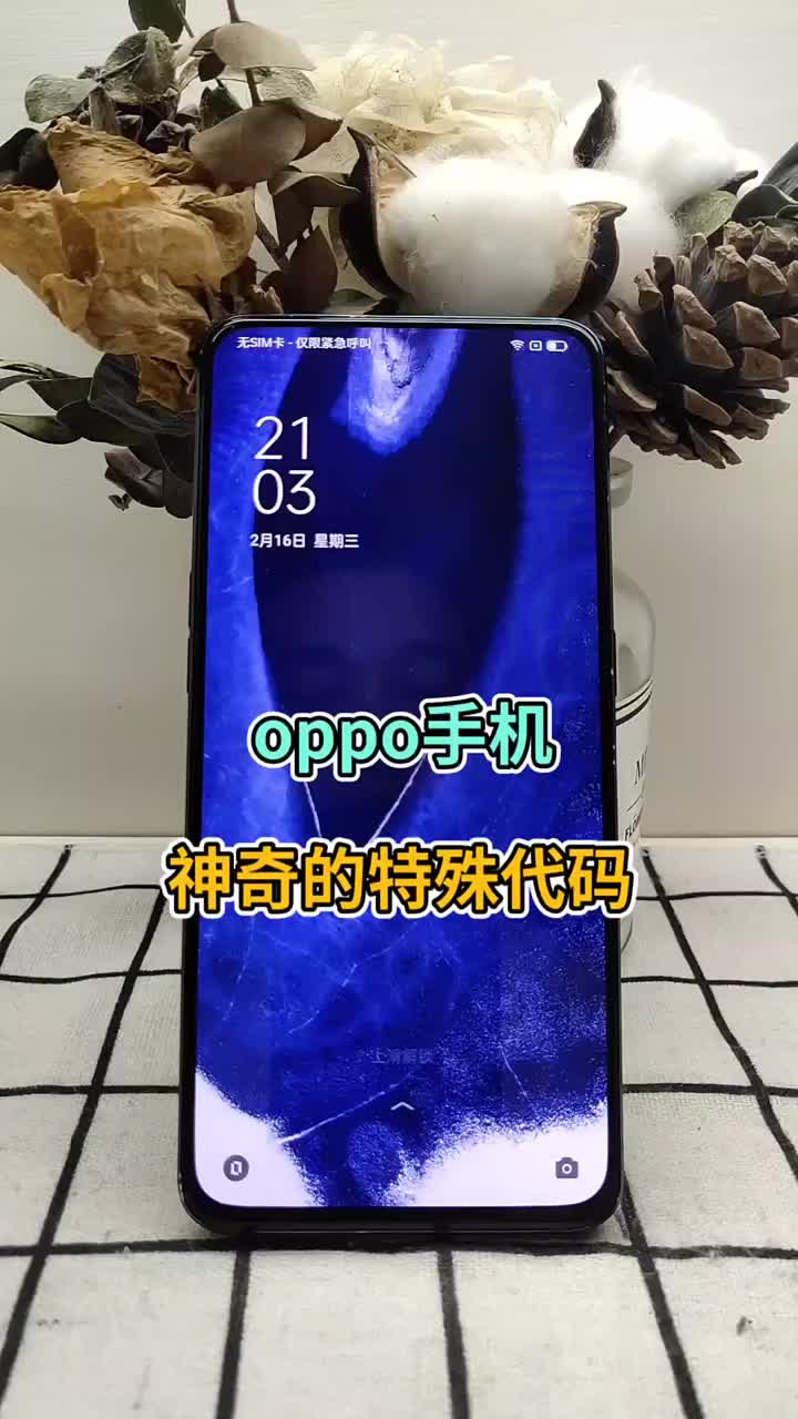 oppp手机神奇的特殊代码 #oppo #代码 #分享#硬声创作季 