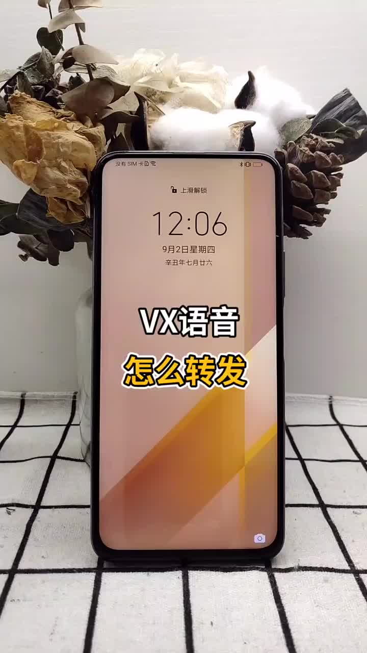 VX语音你还不会转发？希望对大家有用赶快学起来 #干货 #分享 #教程#硬声创作季 