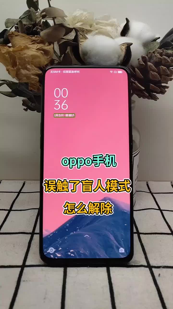 解除盲人模式步骤教程 是不是又帮你省钱了呢！你遇到过吗？ #OPPO #省钱小妙招 #手机技巧#硬声创作季 