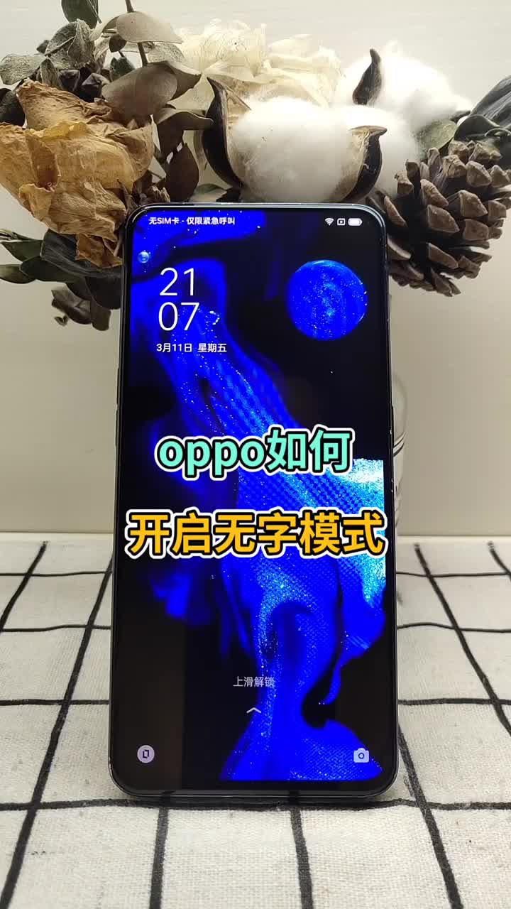 oppo也有无字模式 #OPPO手机小技巧 #OPPO #手机技巧#硬声创作季 