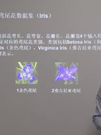 人工智能,tensorflow,数据集