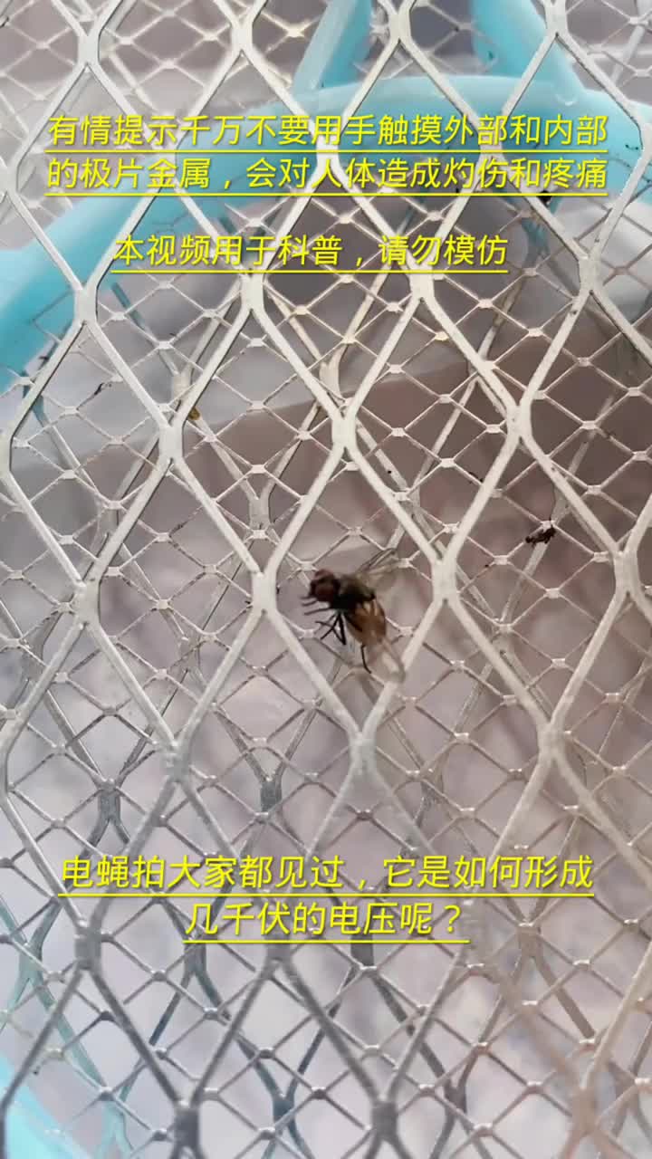 電蠅拍的工作原理，你知道嗎？它是如何形成幾千伏的電壓？#硬聲創(chuàng)作季 