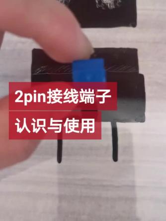 单片机,PI,端子,PIN