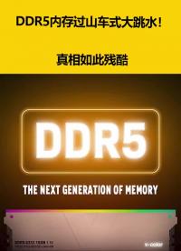 DDR5內(nèi)存過(guò)山車式大跳水！真相如此殘酷 #硬聲創(chuàng)作季 