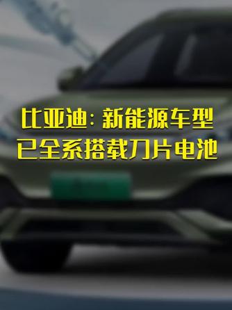 时事热点,新能源,能源,新能源车,刀片电池