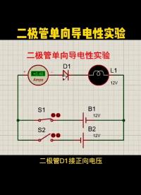 #硬聲創作季 二極管單向導電性實驗 #新能源電動汽車 