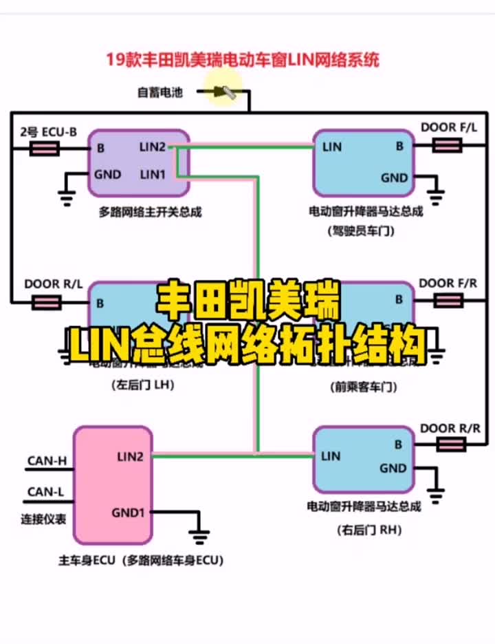 #硬声创作季 丰田凯美瑞电动车窗LIN总线网络拓扑结构 #汽车Lin总线 