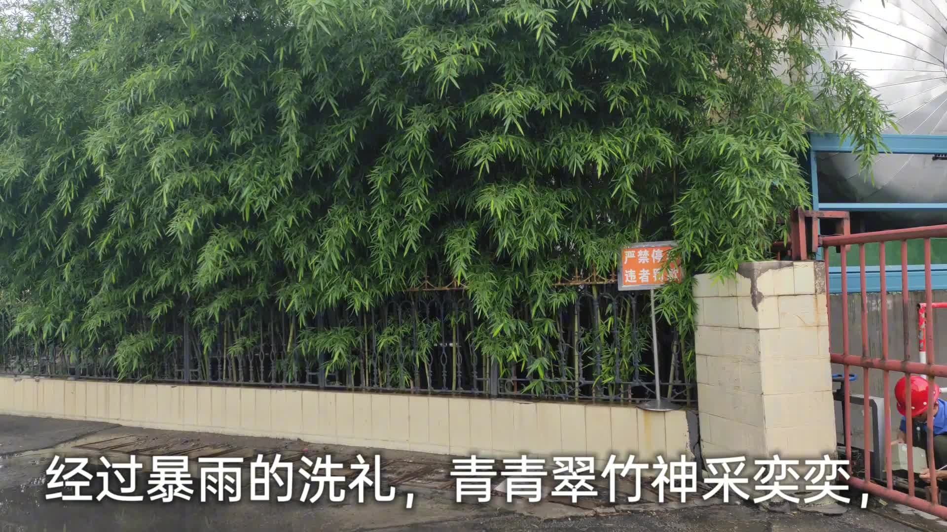 电动开门机在暴雨后罢工了，电工坚果去维修，他能修好吗？#硬声创作季 