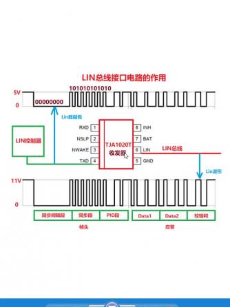 电路分析,收发器,CAN总线,LIN总线,总线接口,LIN,can总线控制器