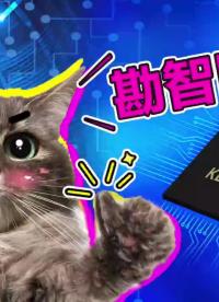 勘智K510 CRB 開發板 - #自訓練 