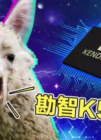 勘智K510 CRB 開發(fā)板 - #人體跟蹤 