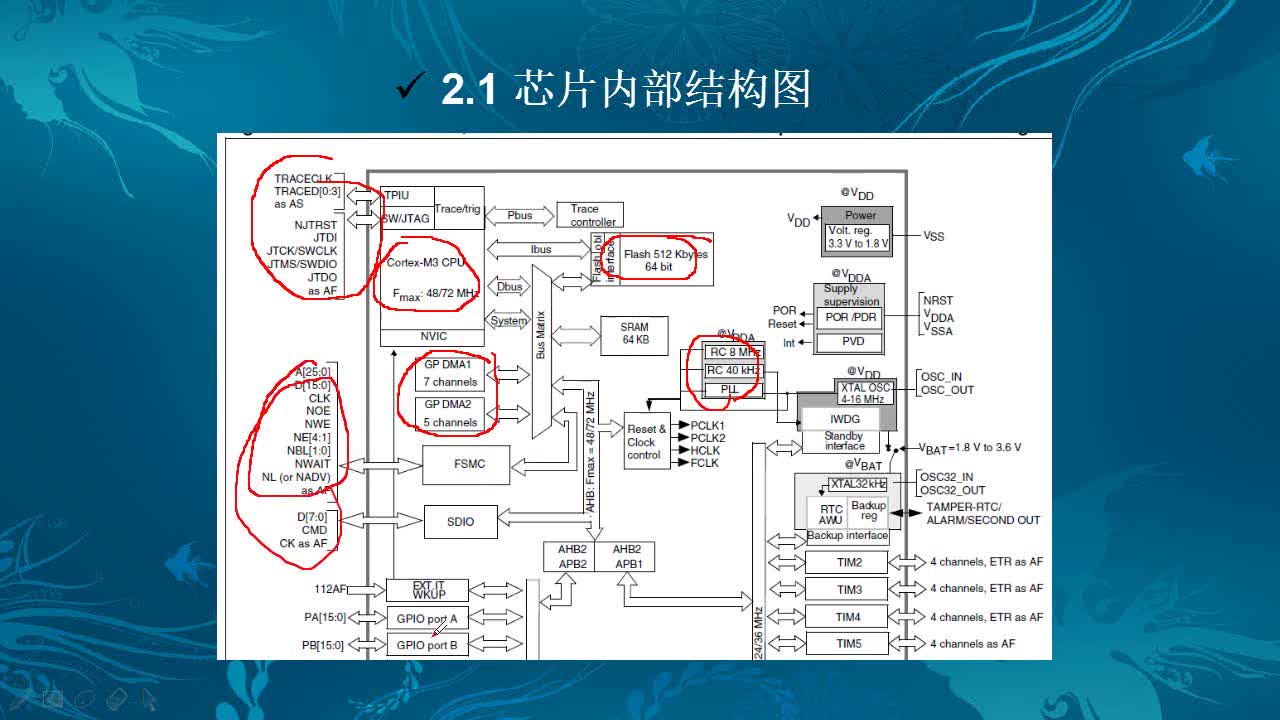 #硬声创作季 #智能小车 STM32智能小车-12 芯片解读-2