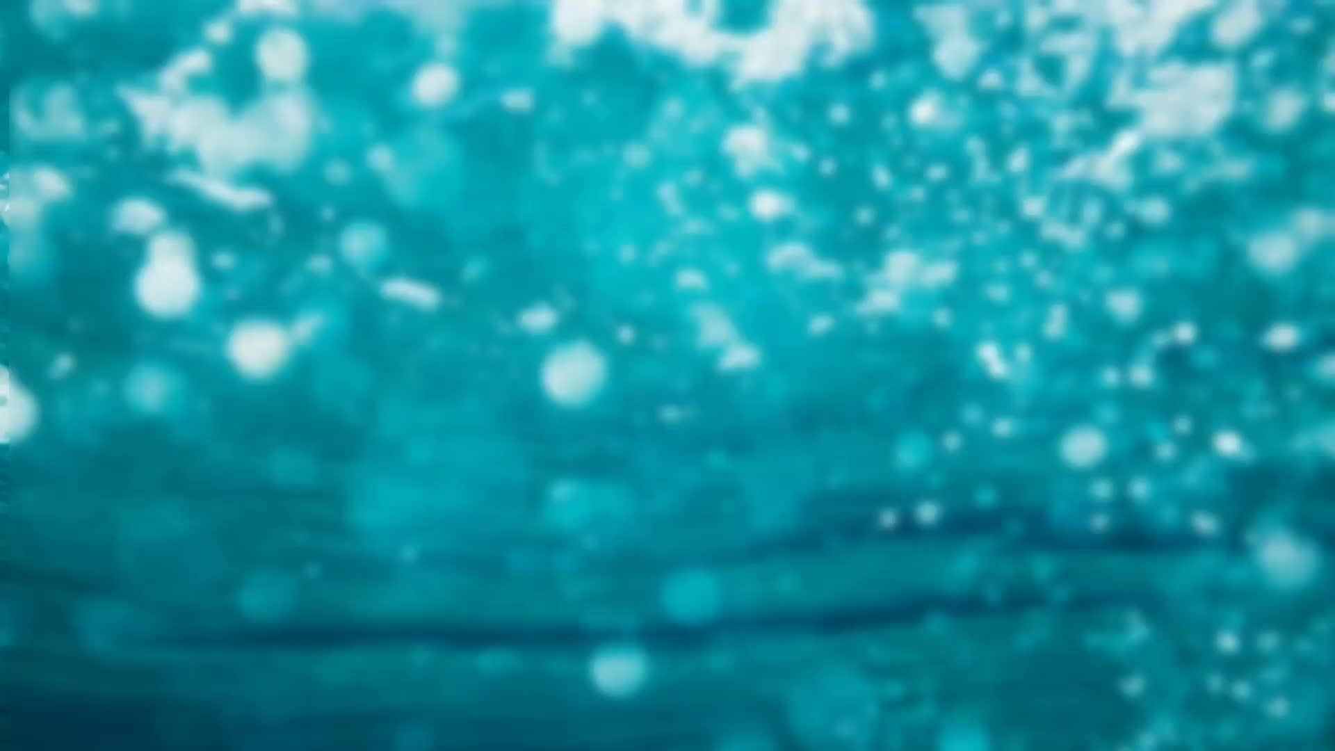 小電貓第一次錄入電路圖，首戰(zhàn)告捷，Easy真好用#硬聲創(chuàng)作季 