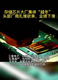 存儲芯片大廠集體“越冬”頭部廠商扎堆砍單、業績下滑#早資訊 