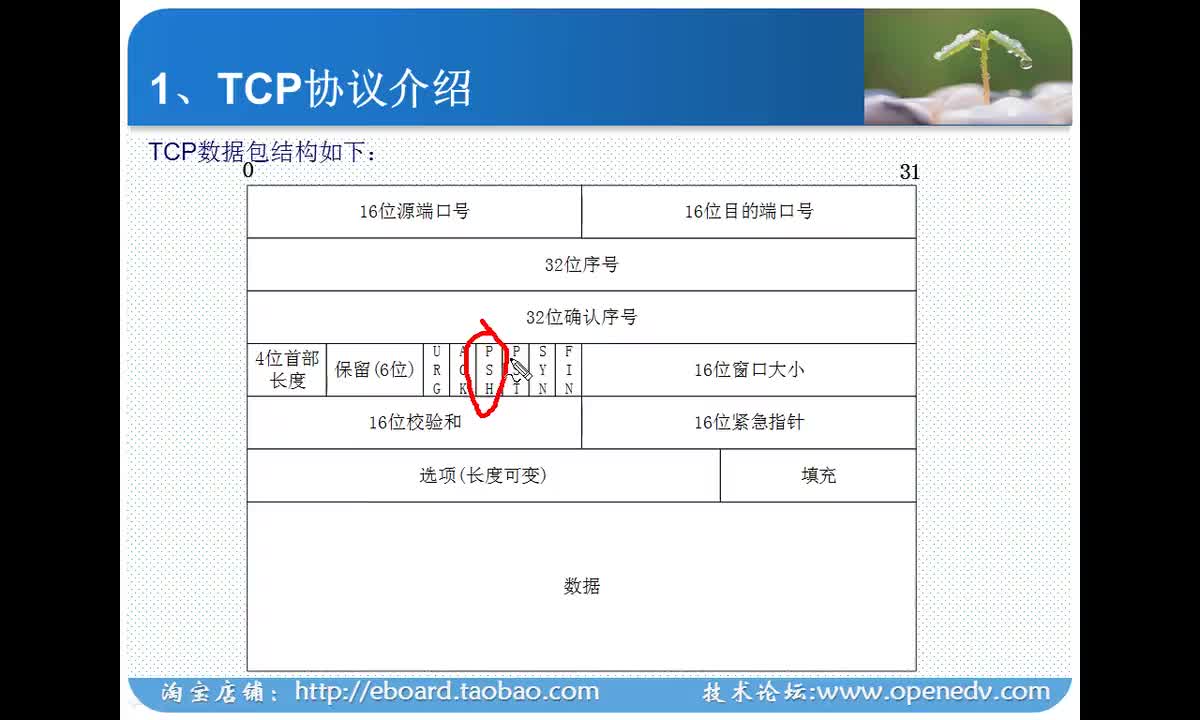 #硬聲創(chuàng)作季 #LWIP 學LWIP-12 TCP協(xié)議基礎知識-2