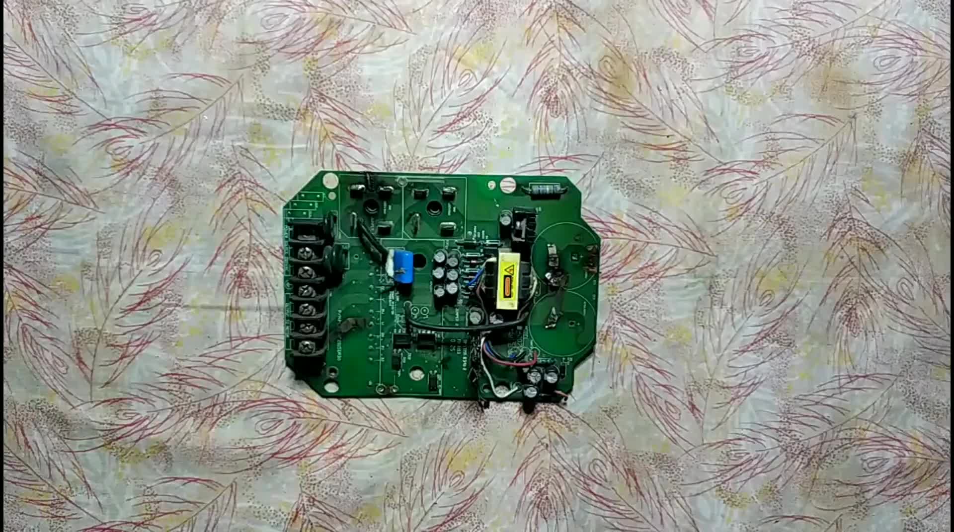 生活處處都是寶！這不有撿到寶了！# 硬聲創作季