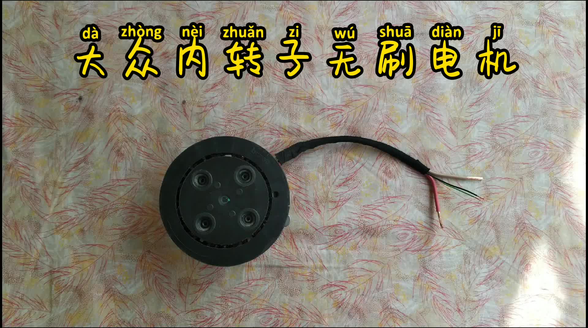 這樣的無刷電機(jī)你玩過嗎# 硬聲創(chuàng)作季