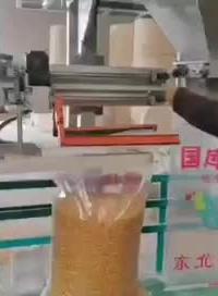 顆粒包裝機 塑料薄膜袋裝玉米封口機 皮帶運輸輸送線設備 山東本森自動化#糧食 #農作物 