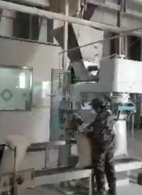 粉末包裝機 袋裝面粉包裝機械設備山東本森自動化