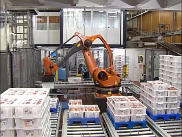 水果筐码垛机器人输送码垛全自动生产线 山东本森智能装备