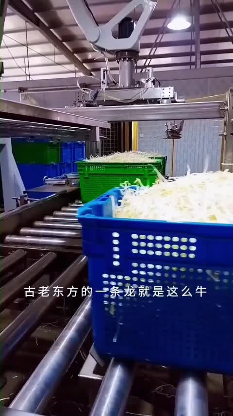 塑料筐蔬菜碼垛堆垛機(jī) 代替人工強(qiáng)度工作 智能輸送碼垛設(shè)備山東本森智能裝備#水果搬運(yùn) 