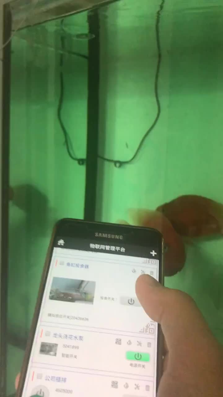 #硬声创作季 用跨阵物联网开关远程控制投食机实现手机远程喂鱼，还可以设置定时投食。#跨阵物联 #智能新时代 