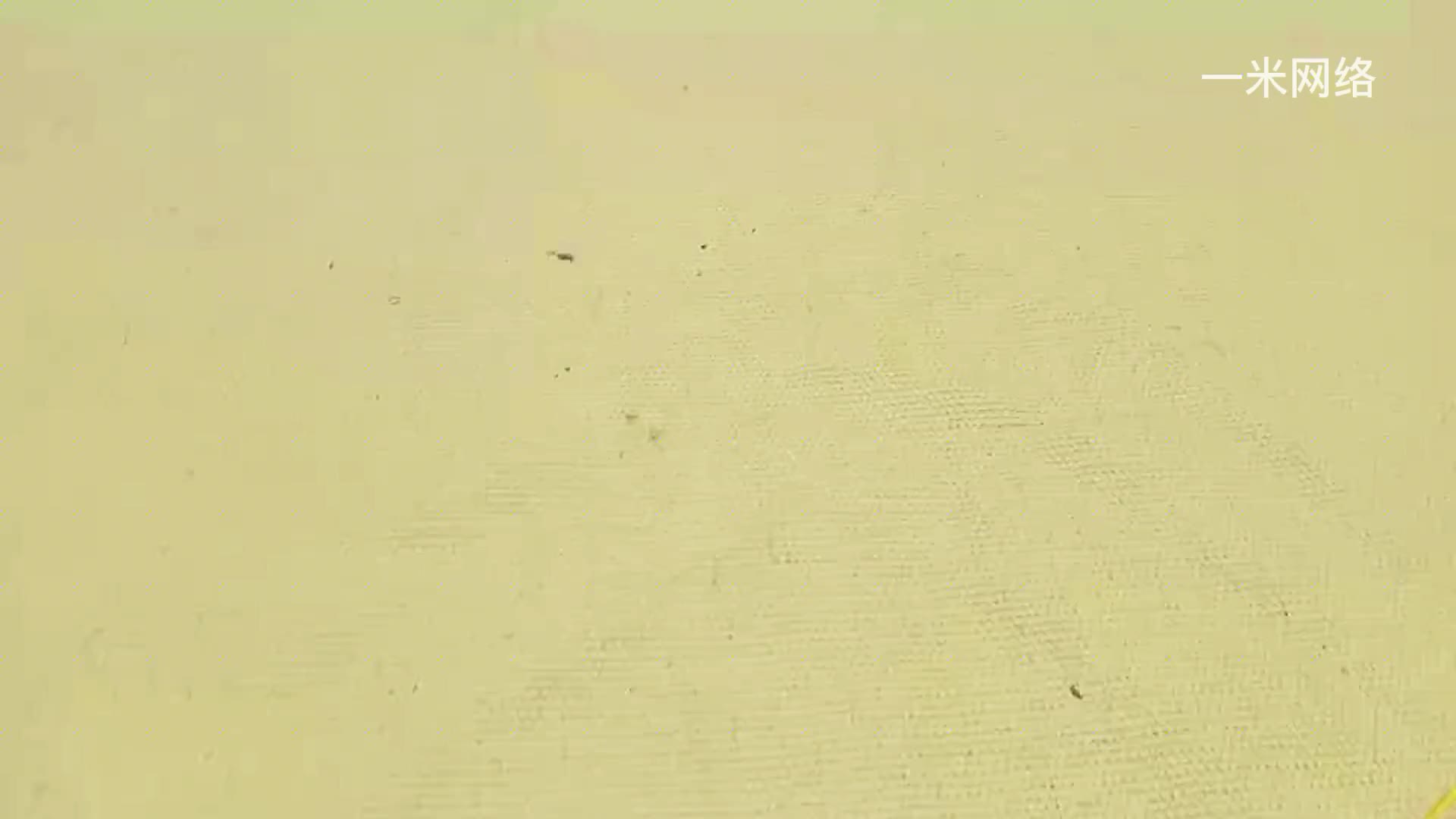 才知道，原來電磁鐵制作這么簡單，生活中非常的實用建議收藏#硬聲創作季 