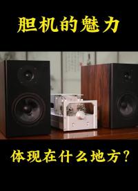 #硬聲創(chuàng)作季 有音響的地方就有膽機。 #發(fā)燒音響? #專業(yè)音響 #BRZHIFI 