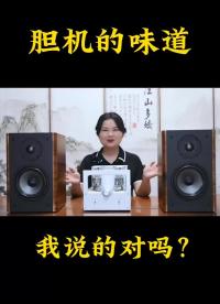 #硬聲創作季 這樣的膽機有喜歡的嗎？ #發燒音響?  #專業音響  #BRZHIFI 