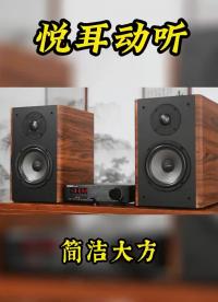 #硬聲創作季 這個搭配怎么樣？心動了嗎？ #發燒音響?  #專業音響  #BRZHIFI 