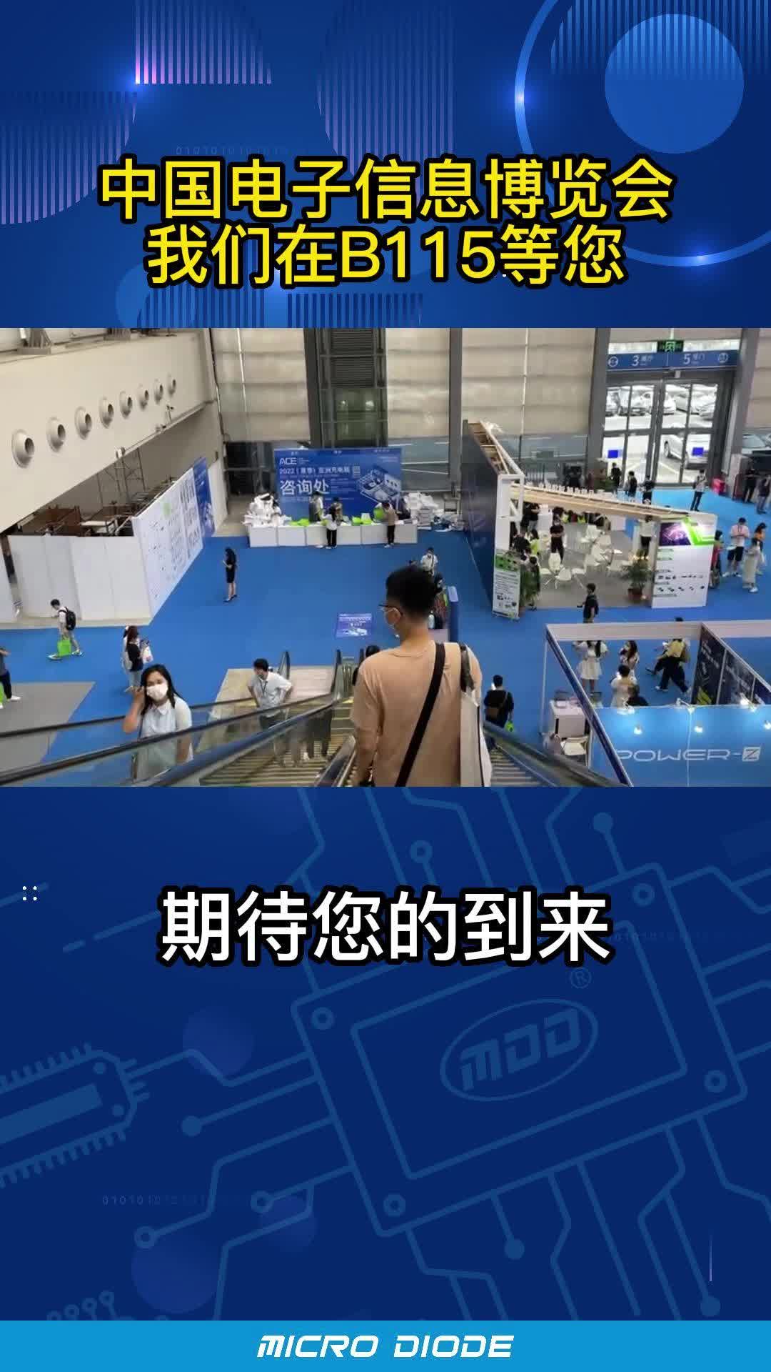 中国电子信息博览会#寻找100+国产半导体厂家 #硬声创作季 