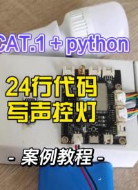 24行代码写声控灯，只有python能做到，其实还可以精简# #嵌入式开发  #声控灯# python开发板