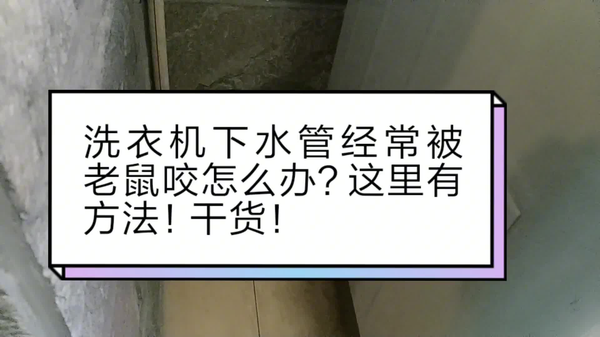 洗衣機(jī)下水管經(jīng)常被老鼠咬怎么辦？教你一個(gè)方法，徹底解決。#電路原理 