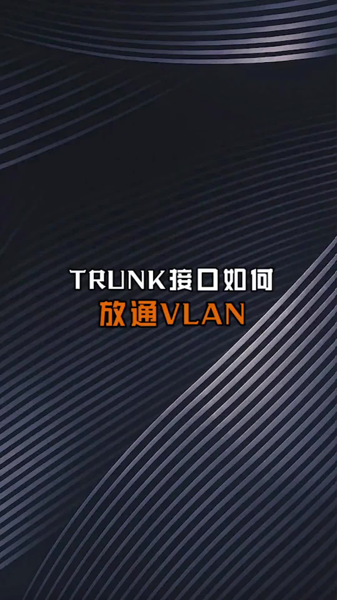 如何在trunk接口，放通vlan信息？