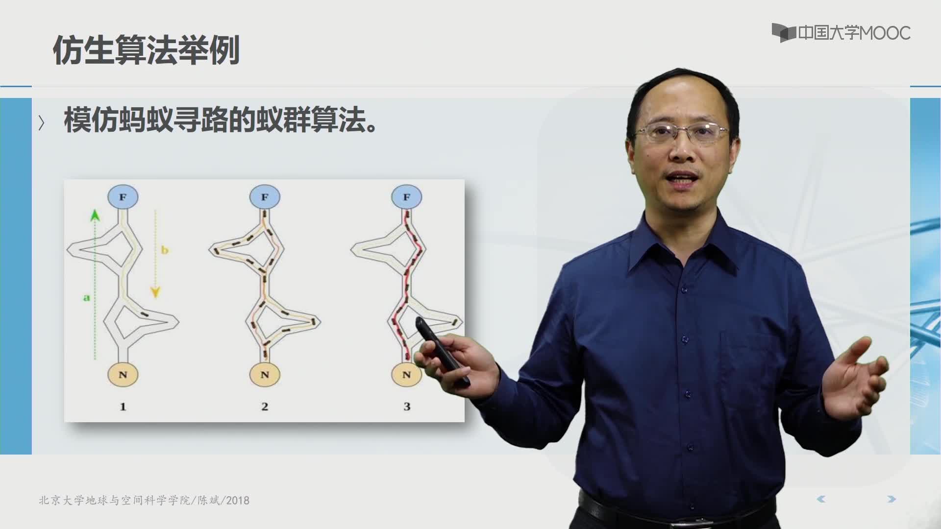 4仿生算法簡介(2)#人工智能 