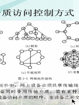 计算机网络,总线/接口技术,数据通信网络,电子计算机