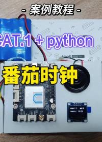 用python写的番茄钟，带屏幕显示，源码开放# #硬声创作季 #嵌入式开发 #python开发板 