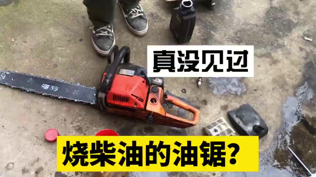 燒柴油的油鋸你見過嗎？我是不信的，一起來看看是不是真的#硬聲創(chuàng)作季 