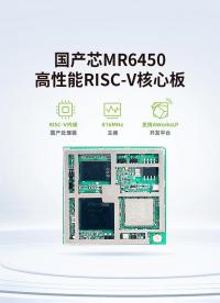 國產芯MR6450高性能RISC-V核心板#嵌入式開發 