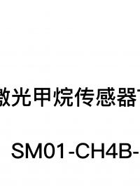 激光甲烷傳感器 TDLAS-地下井燃氣窨井管道設備用 #電子工程師 @成都盛瑟傳感技術 