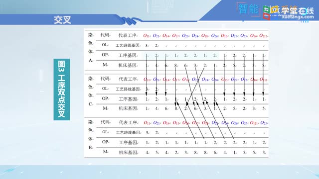 [5.2.1]--5-2利用遗传算法求解Ipps问题_clip002