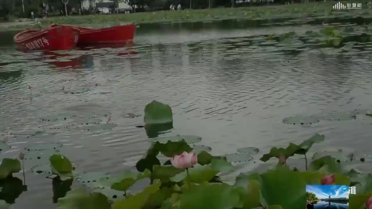 數據結構與算法：[1.4]--抽象數據類型和head1-1.h(1)#硬聲創作季 