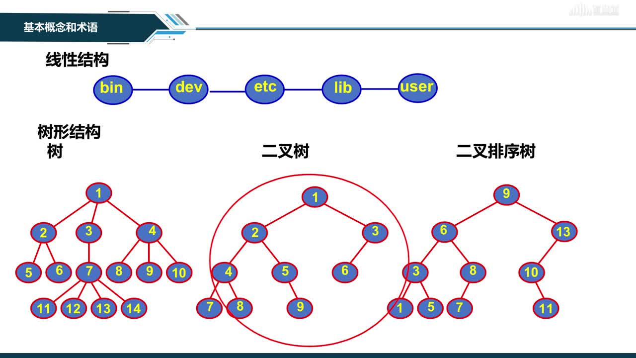 數據結構與分析：[1.2]--基本概念及術語(2)#硬聲創作季 