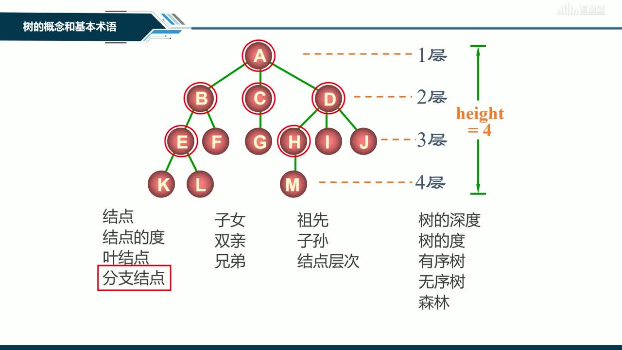 數(shù)據(jù)結(jié)構(gòu)與分析：[6.1]--基本術(shù)語(yǔ)(2)#硬聲創(chuàng)作季 
