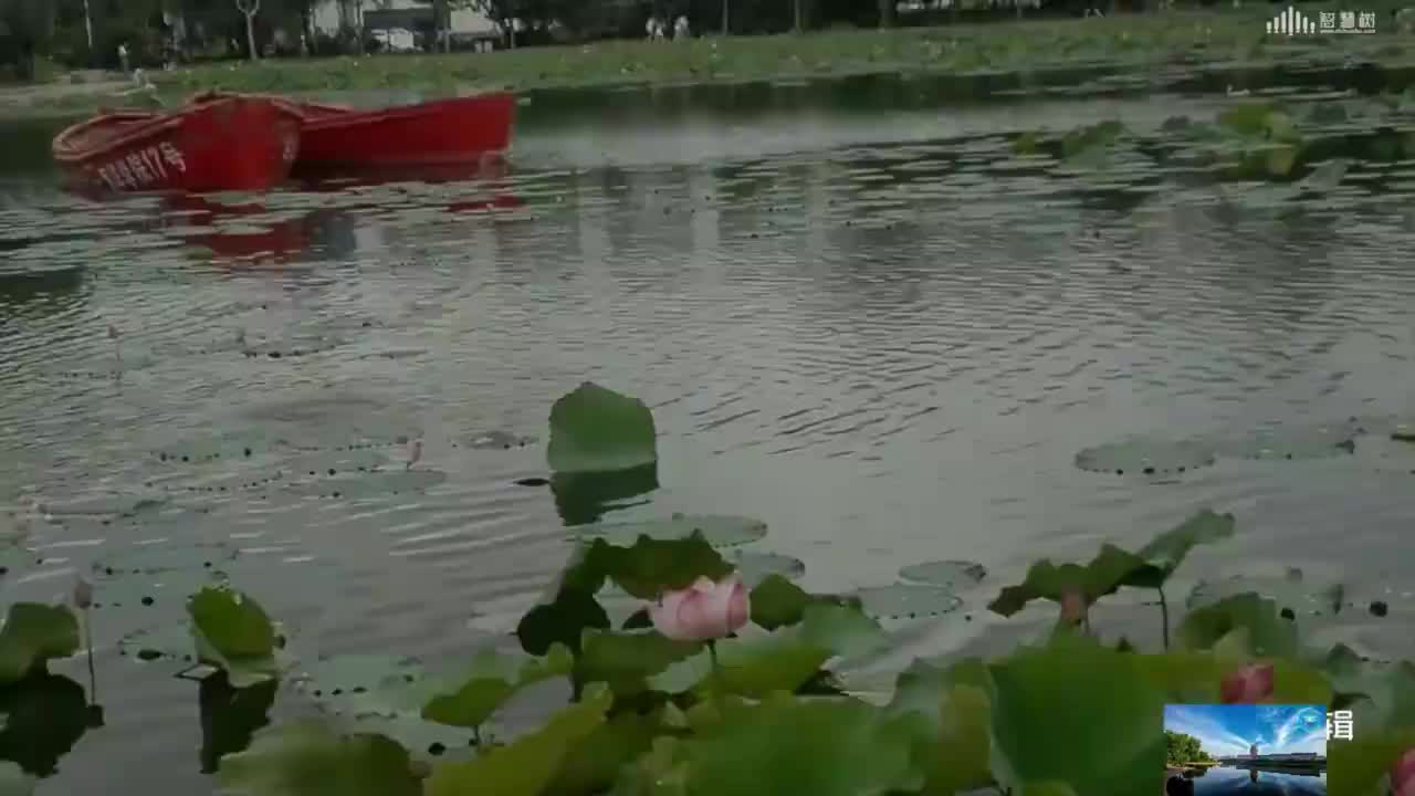 數(shù)據(jù)結(jié)構(gòu)與算法：[2.1.1]--線性表的概念(1)#硬聲創(chuàng)作季 