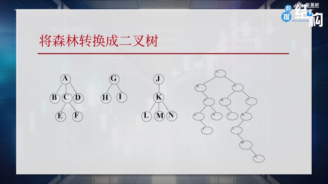 數(shù)據(jù)結(jié)構(gòu)與算法：[6.5]--樹和森林(3)#硬聲創(chuàng)作季 
