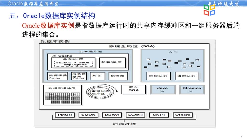 数据库应用开发--1.2Oracle数据库软件结构(2)#硬声创作季 