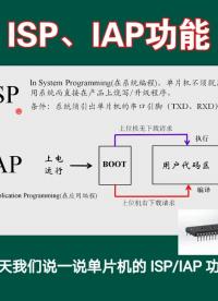 單片機的ISP，IAP功能。介紹單片機程序燒寫的原理。#單片機 #單片機編程 #ISPIAP功能#程序燒寫 