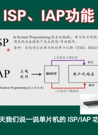 單片機的ISP，IAP功能。介紹單片機程序燒寫的原理。#單片機 #單片機編程 #ISPIAP功能#程序燒寫 