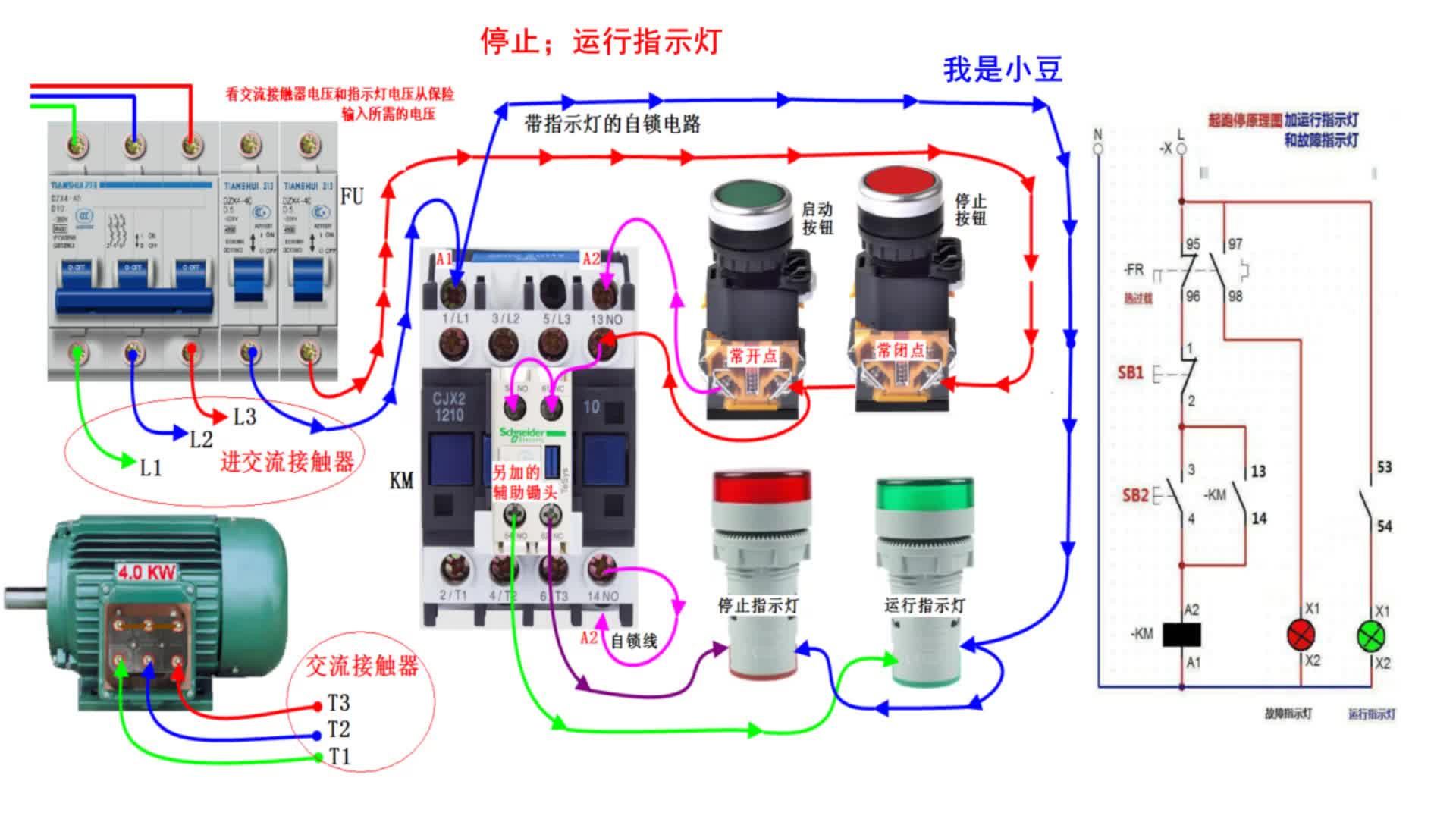 电工知识：如何在电路加装运行指示灯，停止指示灯，工作原理讲解#硬声创作季 